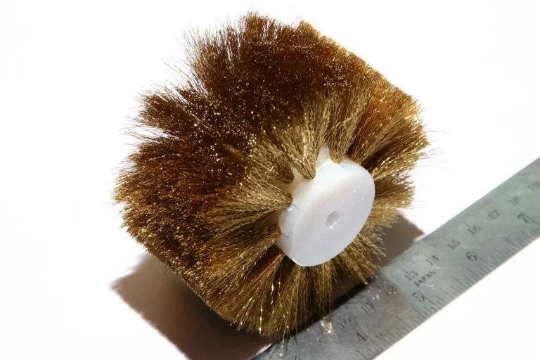 Disc Brush